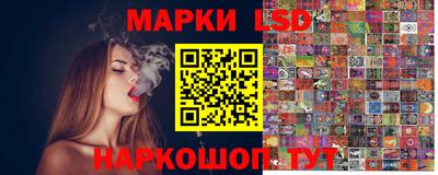 индика Ярославль